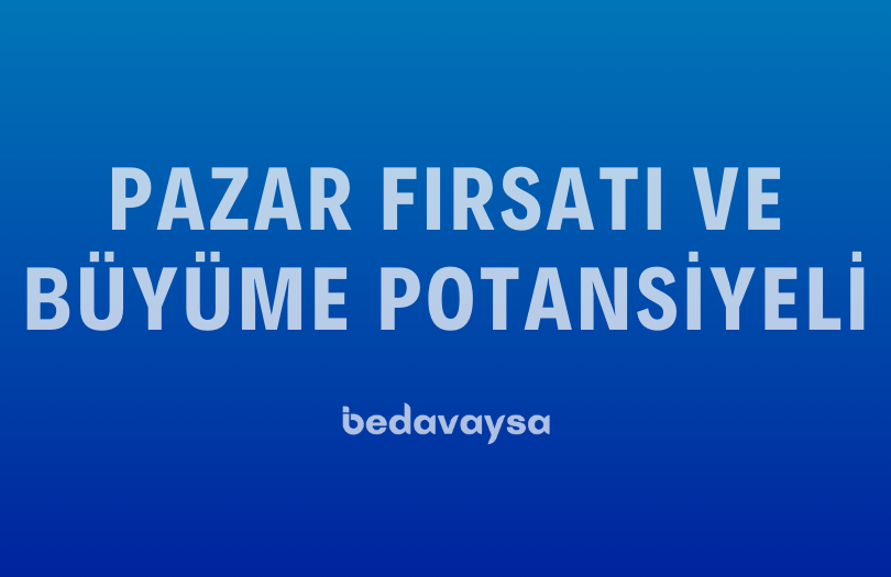 Pazar Fırsatı ve Büyüme Potansiyeli